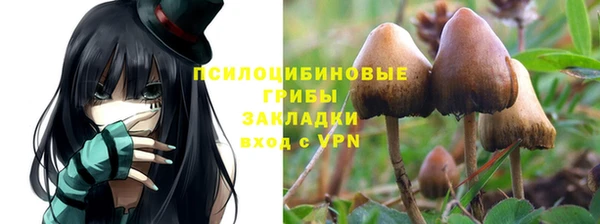 прущие крисы Елизово