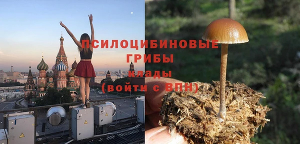 а пвп мука Ельня