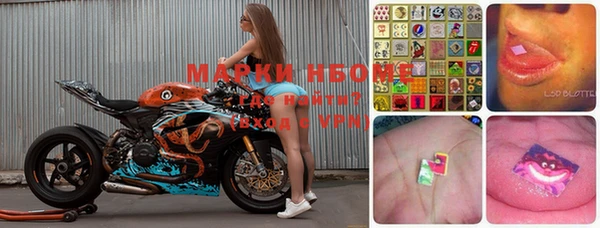 прущие крисы Елизово
