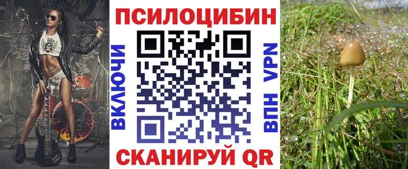 Галлюциногенные грибы MAGIC MUSHROOMS  Купить  Калач-на-Дону 